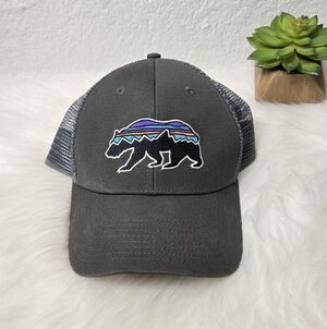 Patagonia Mesh Trucker Hat in Gray